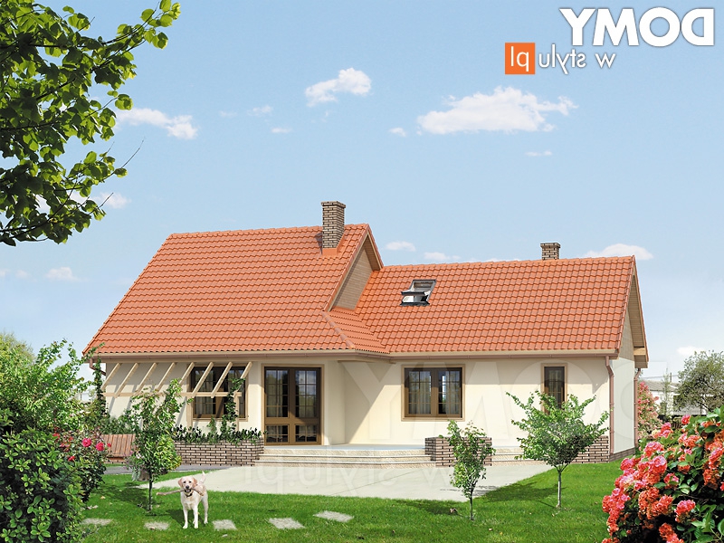 Szyper 10 dr-ST (DR-ST). Obraz #2