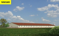 Chlewnia dla 252 loch. Obraz #4
