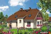 IRYS (S-GL 272). Obraz #6