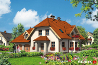 GUTEK (S-GL 168). Obraz #5