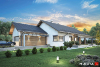 MADERA III (S-GL 1445). Obraz #4