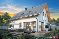 FELIX IV (S-GL 1362). Obraz #7