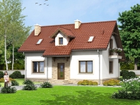 Anyż. Obraz #3