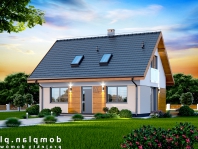 Armanda XS BIS. Obraz #3