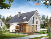 Anka dr-ST (DR-ST). Obraz #4