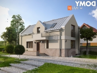Ryś (CE). Obraz #3