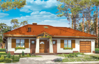 ALAMO wersja B z pojedynczym garażem paliwo stałe