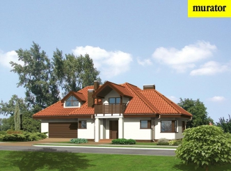 Słoneczny poranek