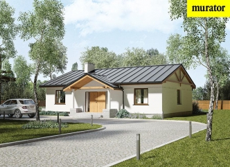 Świerki nad jeziorem