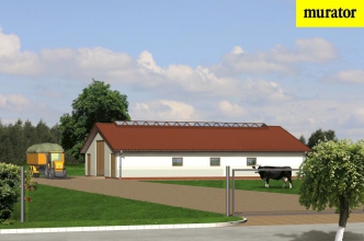 Obora dla 21 krów mlecznych
