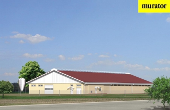 Obora dla 67 krów mlecznych wraz z przychówkiem