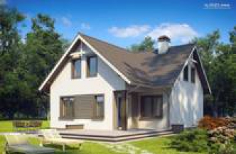 Dom w ostróżkach ver.2