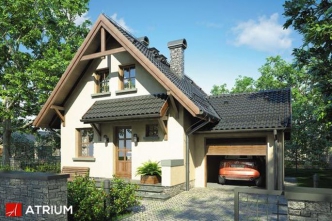 PIOTRUŚ PAN (S-GL 105)