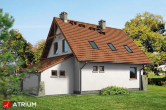DOBRY DUCH BIS (S-GL 549)
