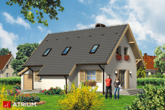 ZGRABNA BASIA (S-GL 286)
