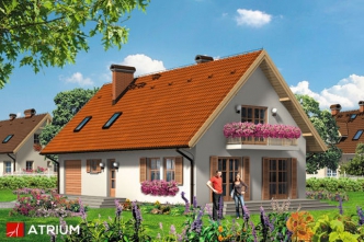 CZARUJĄCY NIKODEM (S-GL 295)