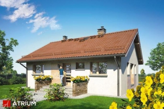 RONALDO III (S-GL 974)