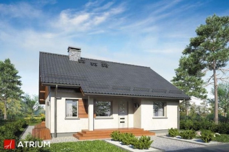 REMIK IV SP (S-GL 951)