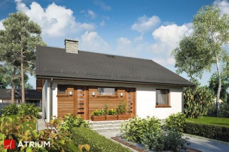 REMIK MAX (S-GL 1080)