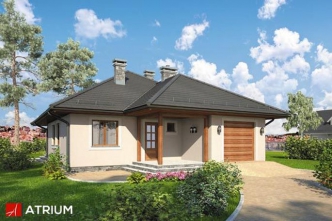 PELIKAN PLUS (S-GL 1051)