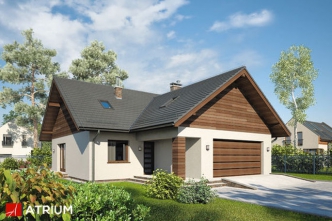 WINSTON XII (S-GL 1020)