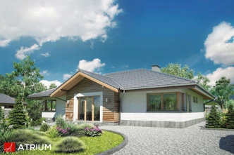 FIESTA II (S-GL 1130)