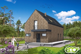 Irena bez garażu B1