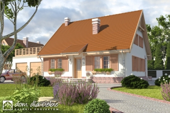 Bażant II A1