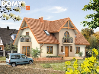 Batuta (CE) paliwo stałe