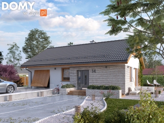 Imbir 2 (CE) paliwo stałe