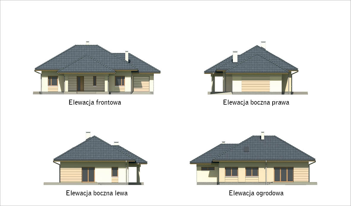 Bukowy las. Obraz #5
