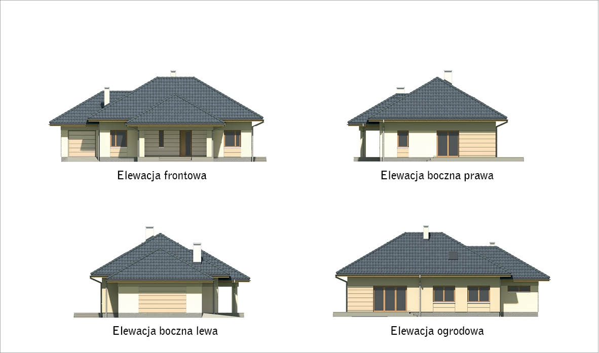 Bukowy las. Obraz #6