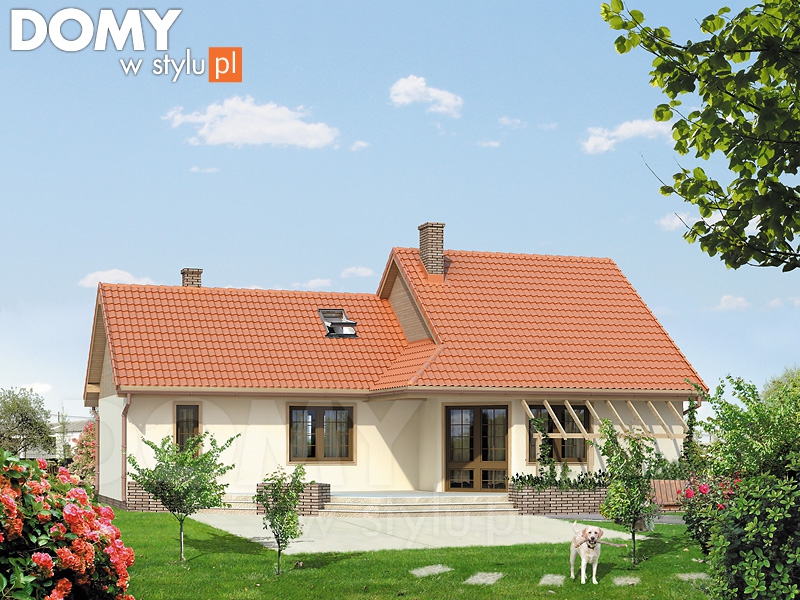 Szyper 10 dr-ST (DR-ST). Obraz #2
