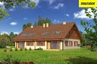 Delikatny - wariant IV (bliźniak). Obraz #8