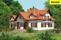 Znamienny. Obraz #5