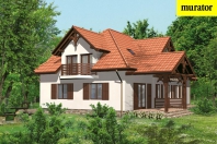 Znamienny. Obraz #7