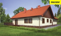 Rozsądny. Obraz #8