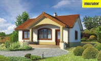 Filigranowy. Obraz #5