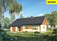 Idealny. Obraz #5