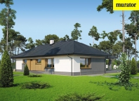 Nowe możliwości. Obraz #6