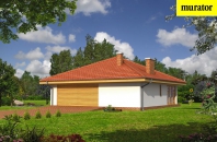 Garaż z pomieszczeniem gospodarczym, sauną i wiatą rekreacyjną. Obraz #3
