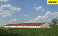 Chlewnia dla 252 loch. Obraz #4