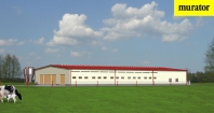 Obora dla 66 krów mlecznych. Obraz #4