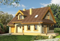 Orzech. Obraz #5