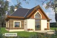 Ida G1. Obraz #3