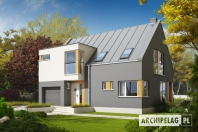 Antek G1. Obraz #4