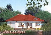APS 002. Obraz #3
