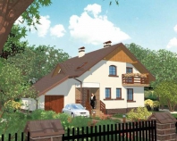 APS 011. Obraz #3