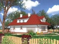 APS 020. Obraz #3