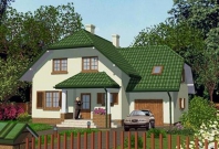 APS 078. Obraz #3